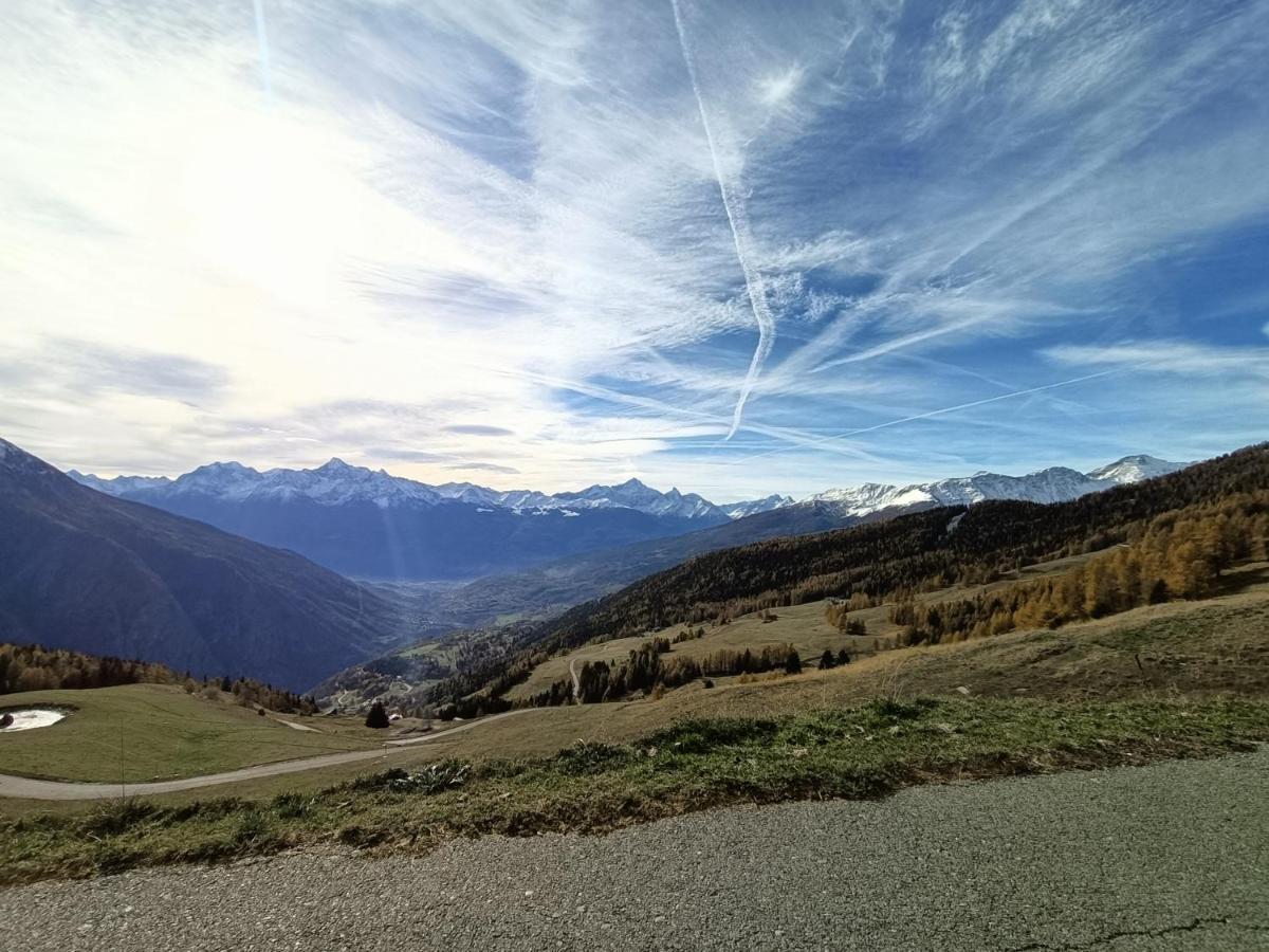 Apartment Mountainaosta - Cir 0062